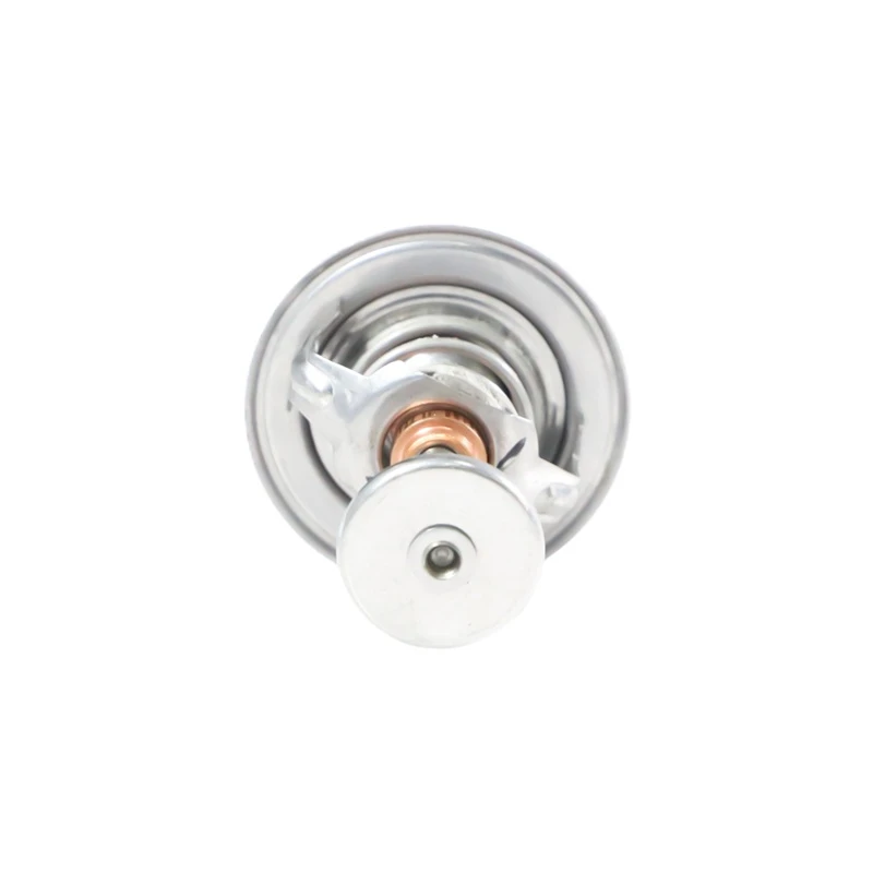 Термостат Lister Petter LP55-305-600 для модели Lister Petter LP689G3