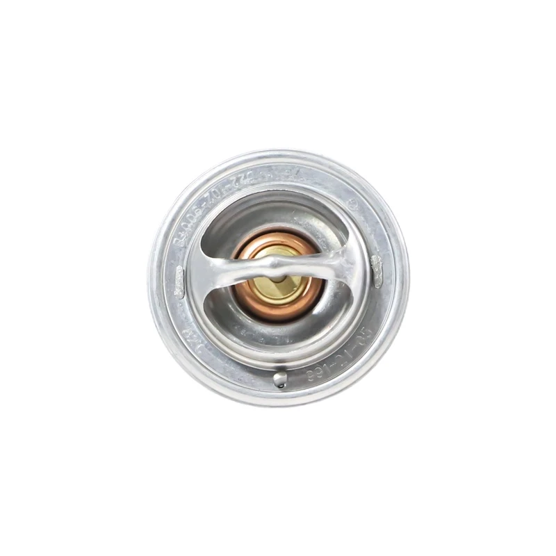 Термостат Lister Petter LP55-305-600 для модели Lister Petter LP689G3